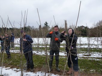 More young Hadlow Students 'having a go' with the secateurs